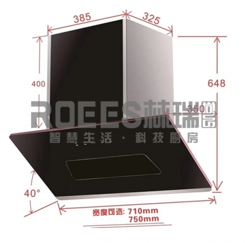 重慶側(cè)吸式煙機——ZD-750